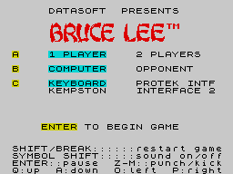 Bruce Lee1.png - игры формата nes
